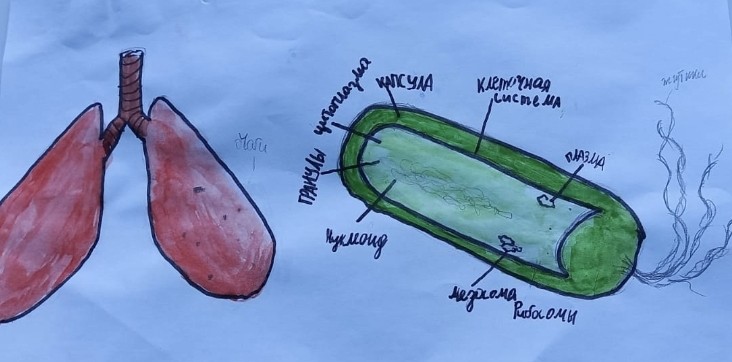 Screenshot_20230321_165337