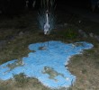 DSCN4449