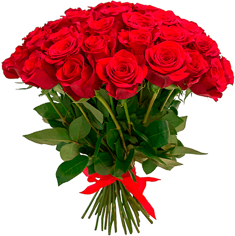 buket roz 1 18111055 