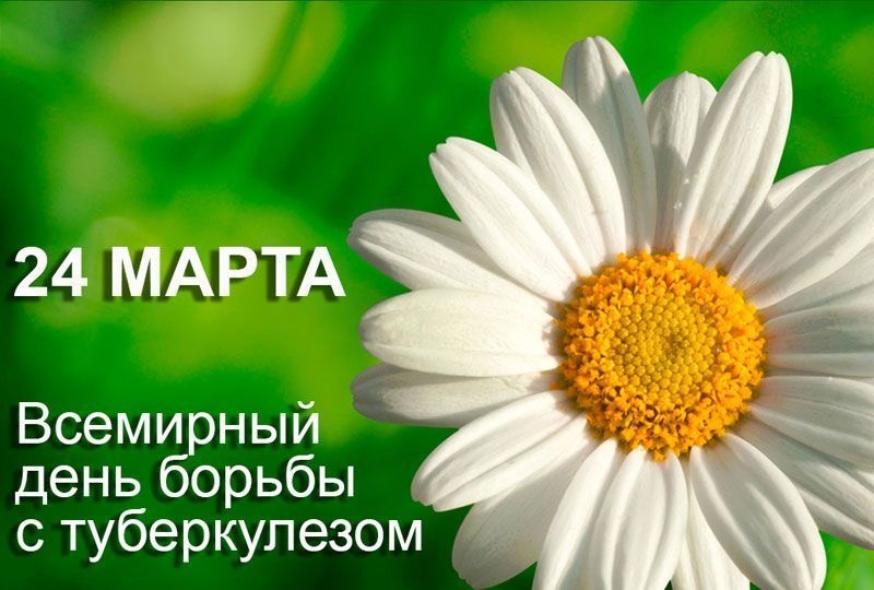 лого